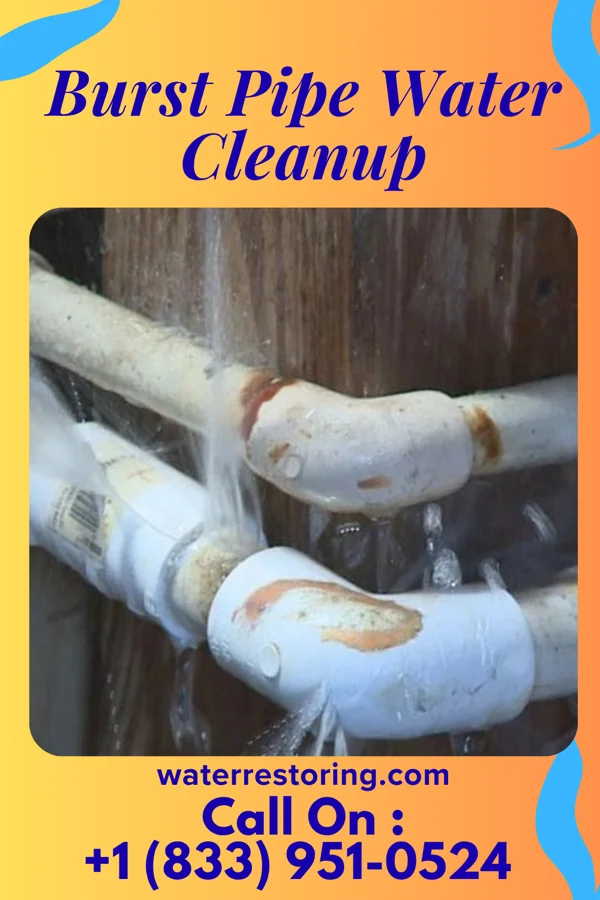 Burst Pipe Water Cleanup in Mason, WV