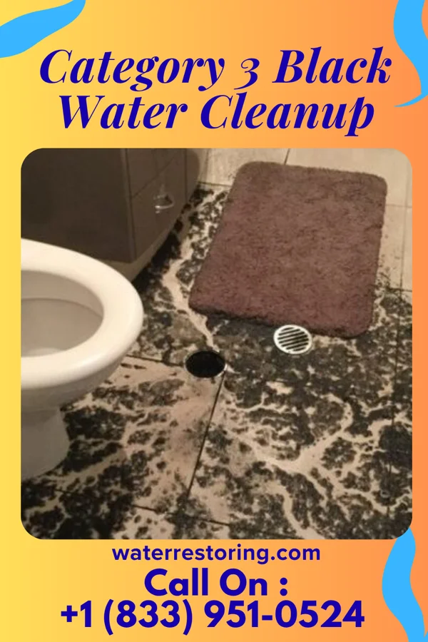 Category 3 Black Water Cleanup in Mason, WV