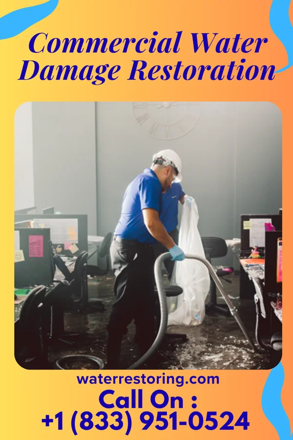 Commercial Water Damage Restoration in Mason, WV