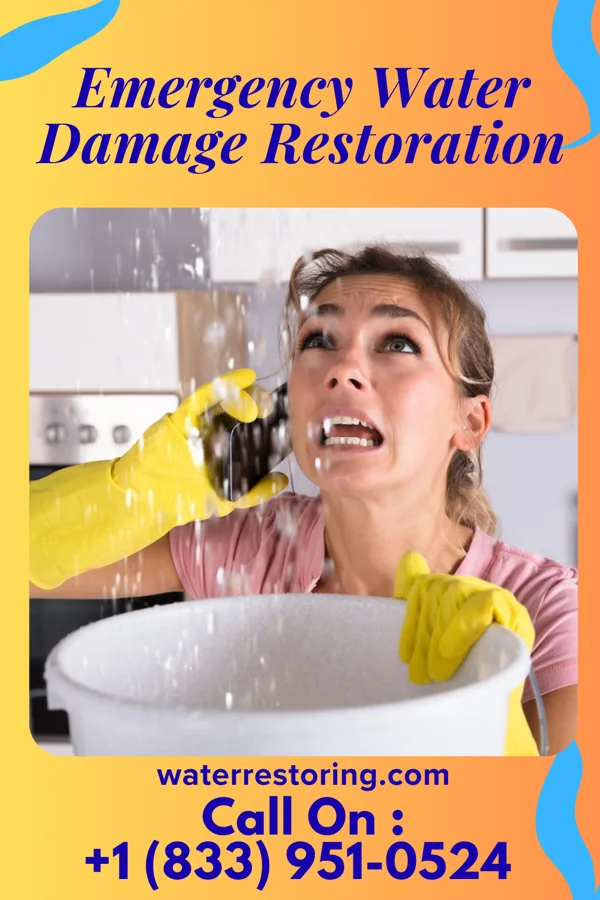 Emergency Water Damage Restoration in Mason, WV