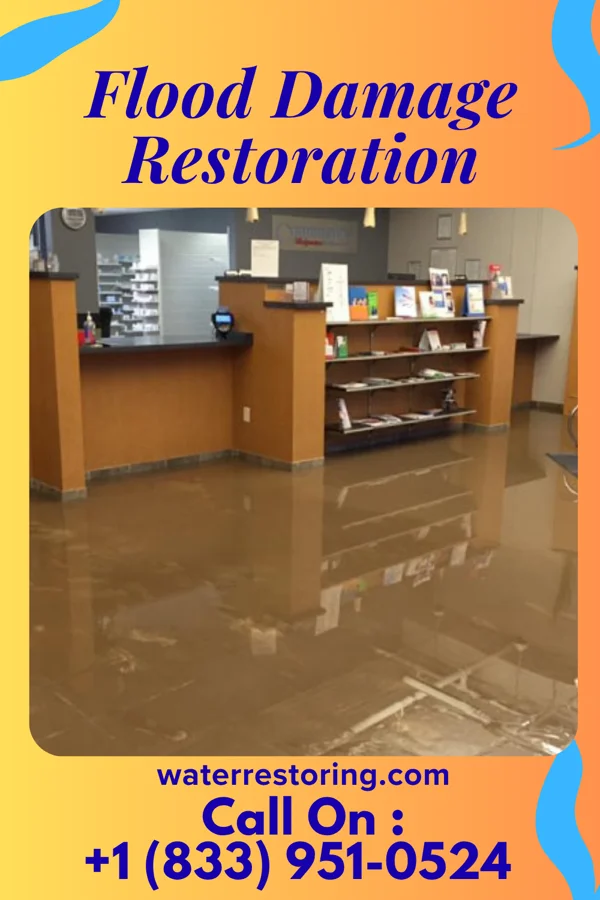 Flood Damage Restoration in Mason, WV