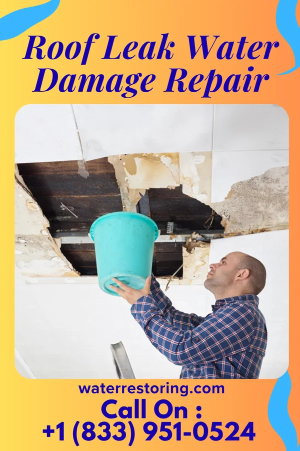 Roof Leak Water Damage Repair in Mason, WV