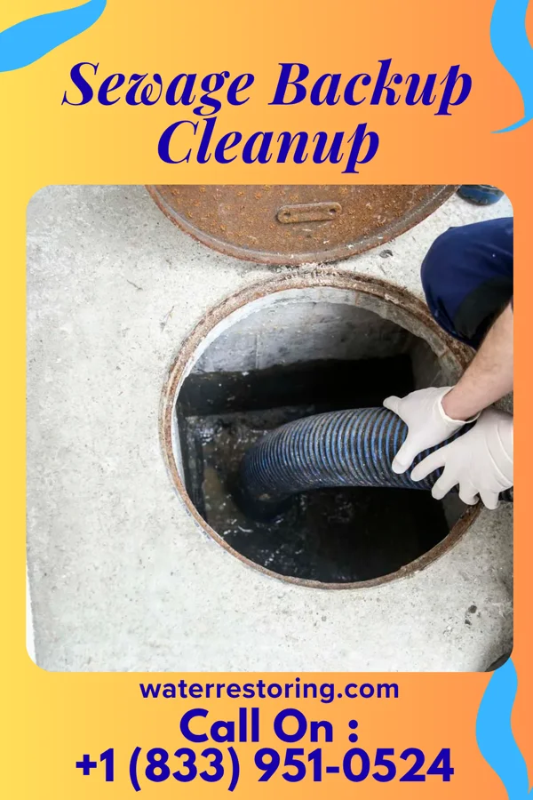Sewage Backup Cleanup in Mason, WV