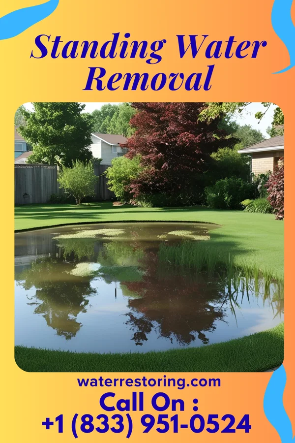 Standing Water Removal in Mason, WV